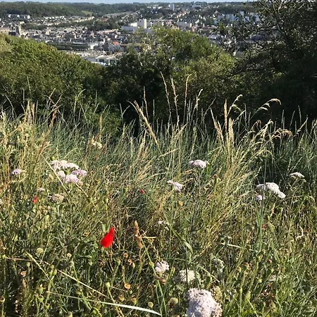 Дом отдыха Maison De Pecheur Vue Port - Commerces Aux Pieds - 1 A 5 Pers Фекам