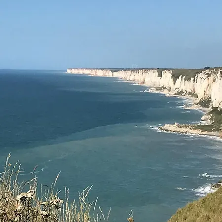 Maison De Pecheur Vue Port - Commerces Aux Pieds - 1 A 5 Pers Tatil Evi